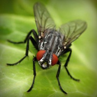 /album/compberthouless/photolia-a01-jpg/