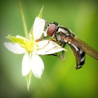 /album/compberthouless/photolia-a02-jpg/