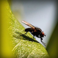 /album/compberthouless/photolia-a04-jpg/