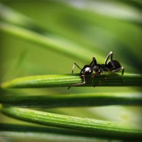 /album/compberthouless/photolia-a05-jpg/