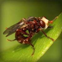 /album/compberthouless/photolia-a06-jpg/