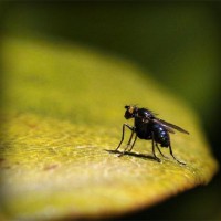 /album/compberthouless/photolia-a07-jpg/